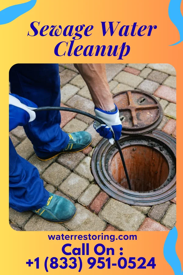 Sewage Water Cleanup in Bull Hollow, OK